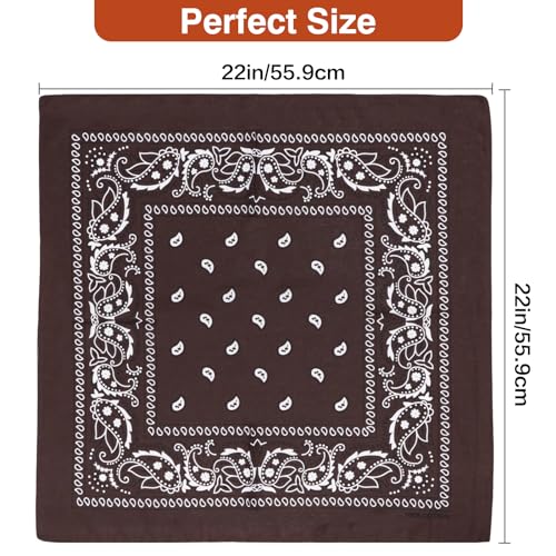 Raylarnia 100% Cotton Large Bandanas for Men and Women, 22 Inch Paisley Bandana with Multiple Colors (Black/Khaki/Brown) - Image 3