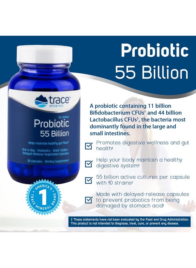 Trace Minerals Probiotic 55 Billion Active Cultures Per Capsule. 30 Capsule Bifidobacterium Lactobacillus Oneaday. Delayedrelease Capsules. Gluten Free. Vegetarian. Healthy Gut. Gut Health. Men And Women. - Image 3