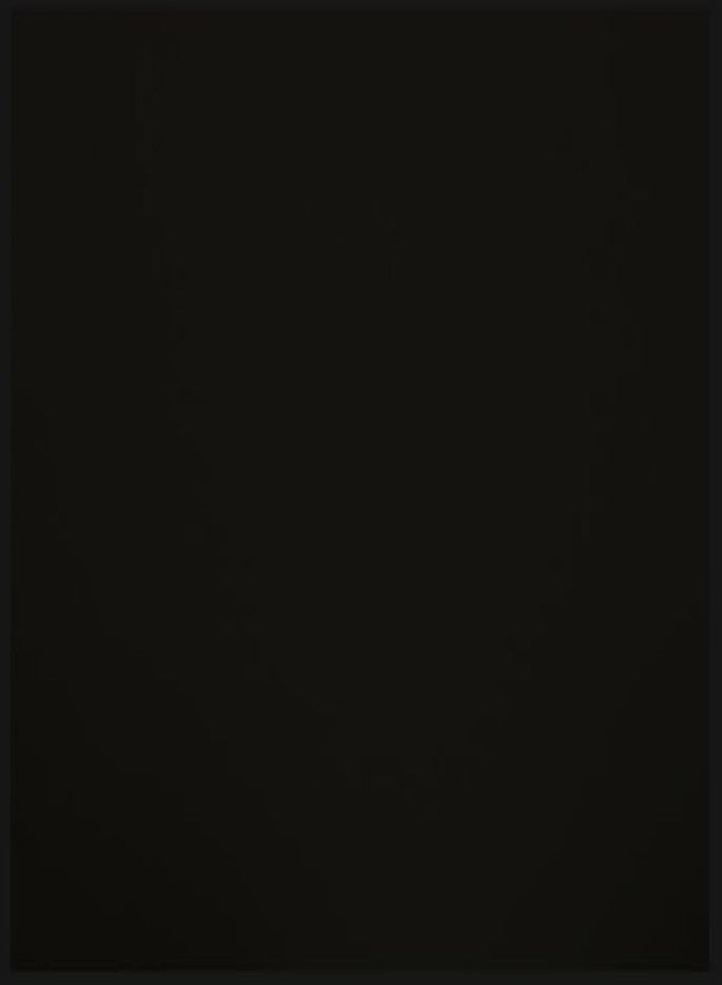 RIPOSEV Spinetech Lumber Cover for Pad (Cover Black) - Image 2