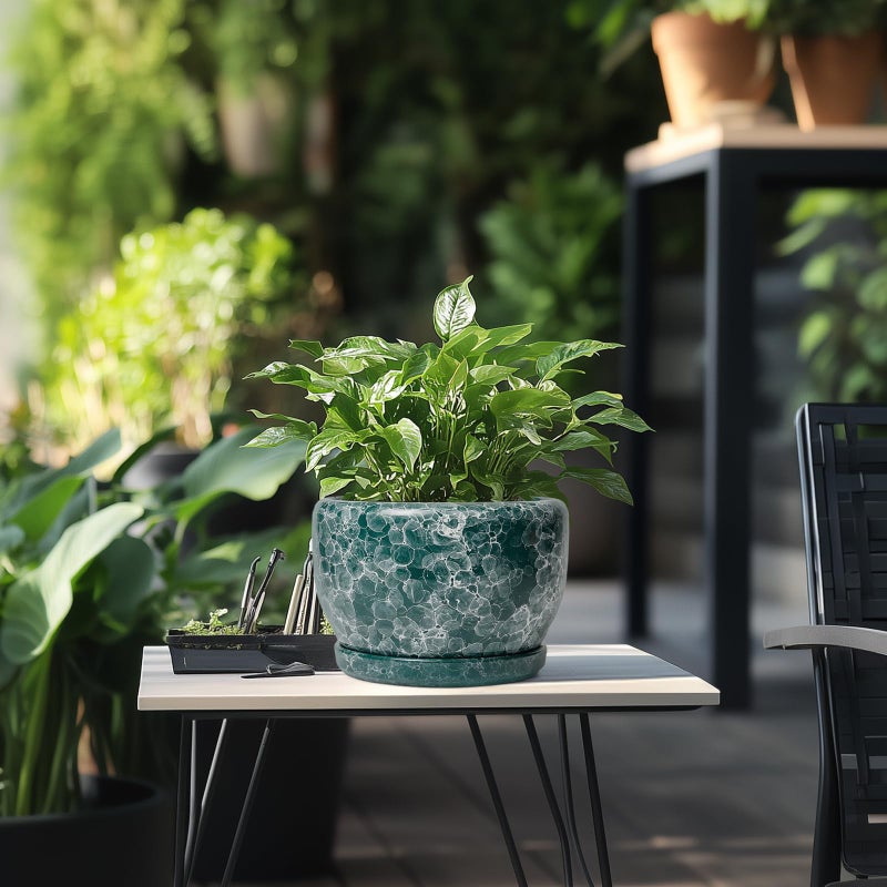 SQOWL 8 Inch Plant Pot - Ceramic Planter for Indoor Plants, Decorative Flower Pot with Drainage Hole and Saucer, Round Planter Outdoor, Room Patio Decor, Garden Gifts for Women, Green - Image 5