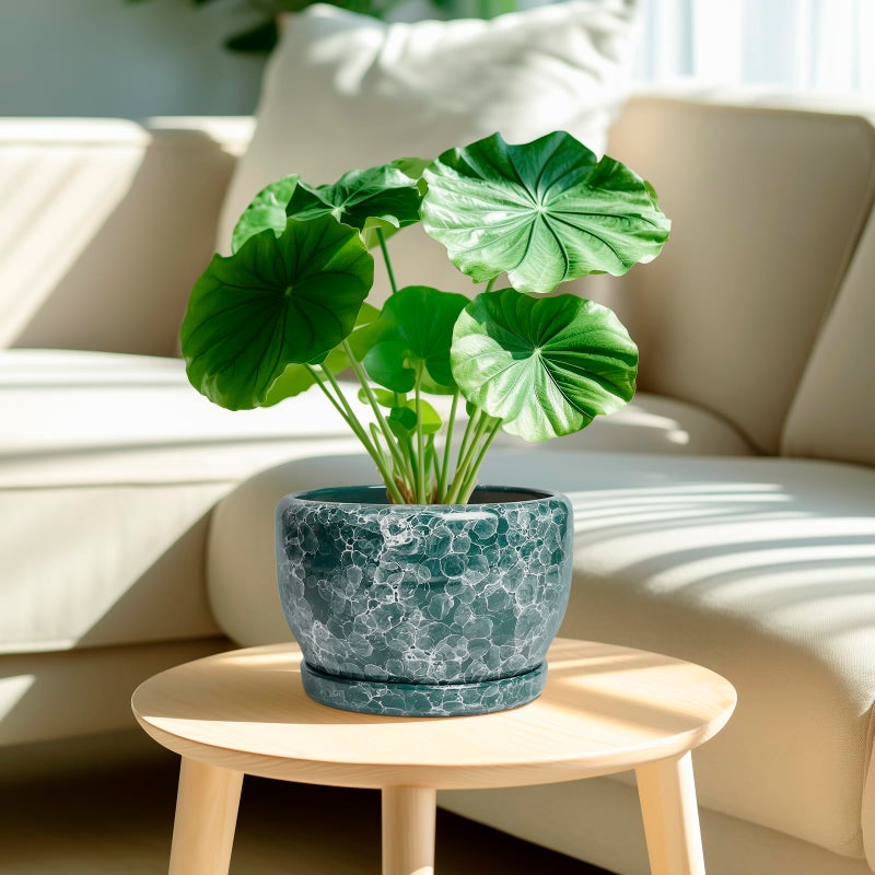 SQOWL 8 Inch Plant Pot - Ceramic Planter for Indoor Plants, Decorative Flower Pot with Drainage Hole and Saucer, Round Planter Outdoor, Room Patio Decor, Garden Gifts for Women, Green - Image 2