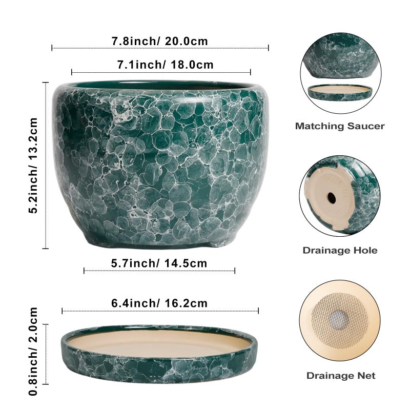 SQOWL 8 Inch Plant Pot - Ceramic Planter for Indoor Plants, Decorative Flower Pot with Drainage Hole and Saucer, Round Planter Outdoor, Room Patio Decor, Garden Gifts for Women, Green - Image 3
