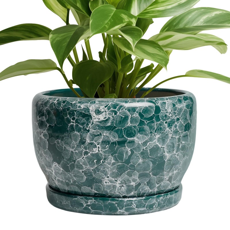 SQOWL 8 Inch Plant Pot - Ceramic Planter for Indoor Plants, Decorative Flower Pot with Drainage Hole and Saucer, Round Planter Outdoor, Room Patio Decor, Garden Gifts for Women, Green - Image 1