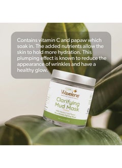 Waxelene Clarifying Mud Mask Dry Blend Wrinkle Fighting Ritual Cleans Pores Hydrates Nourishes Skin Vitamin C Papaw Bentonite French Green Clay  - Image 5
