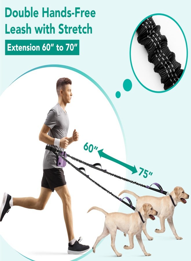 PetAmi Premium Hands Free Dog Leash for 2 Dogs, Adjustable Waist Belt Leash for Dog Walking, Fanny Pack Accessories Bag Dual Bungee Leash for Running, Hiking, Jogging, Biking, Purple - Image 2