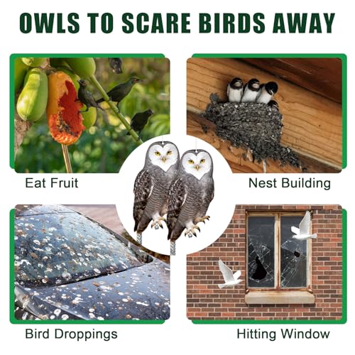 Vicsiyi Owls to Keep Birds Away: 3Pcs Fake Owl with Reflective Tape for Orchard Garden Patio Pool, Reflective Hanging Decoration to Keep Birds Pigeon from Windows Tree Vineyard - Image 4