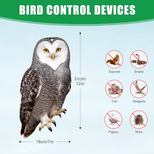 Vicsiyi Owls to Keep Birds Away: 3Pcs Fake Owl with Reflective Tape for Orchard Garden Patio Pool, Reflective Hanging Decoration to Keep Birds Pigeon from Windows Tree Vineyard - Image 5