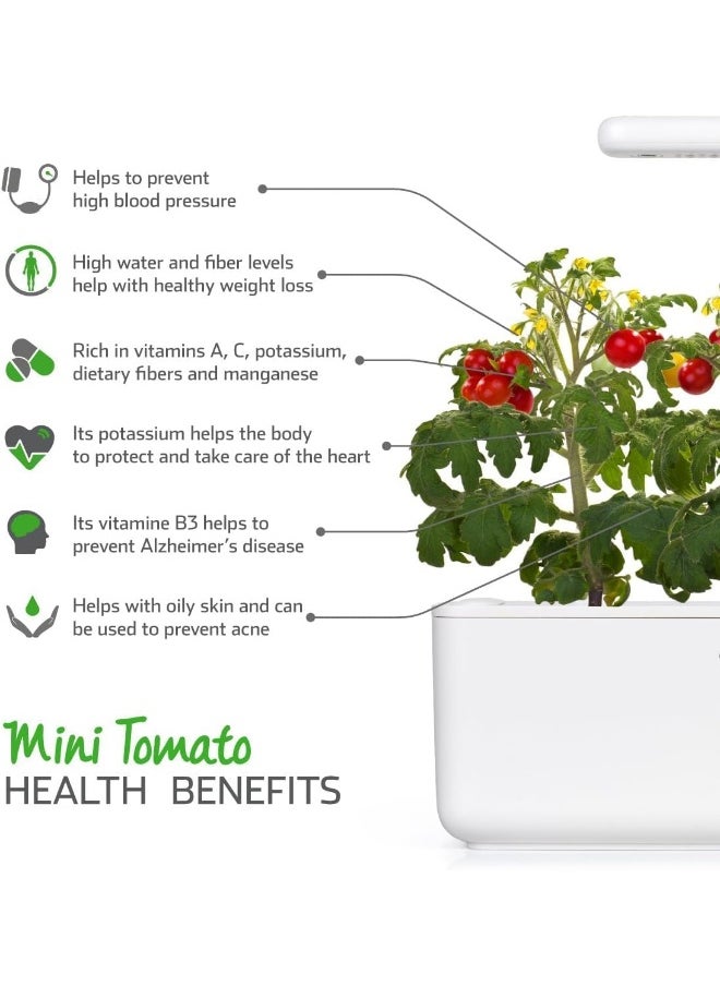 CLICK AND GROW - Smart Garden Mini Tomato Plant Pods, 9-Pack - Image 1
