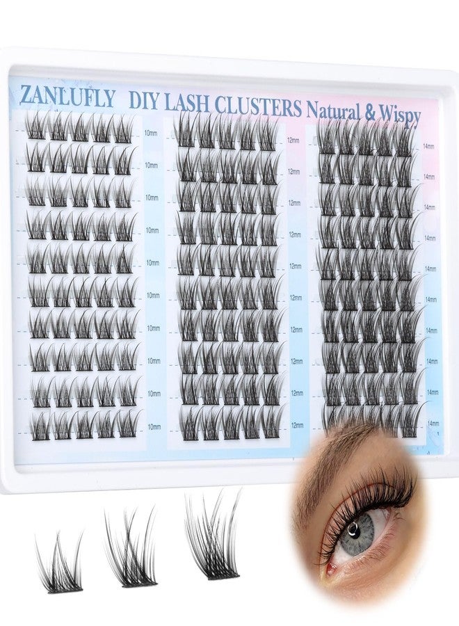 zanlufly Lash Clusters Wispy Eyelash Clusters Natural C-Curly Cluster Lashes zanlufly Wispy Individual Lashes 150Pcs Eyelash Extension 10 12 14MM DIY Lash Extensional Lash Clusters - Image 1