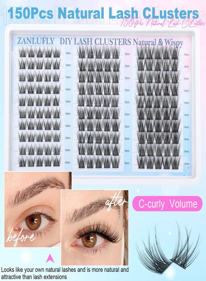 zanlufly Lash Clusters Wispy Eyelash Clusters Natural C-Curly Cluster Lashes zanlufly Wispy Individual Lashes 150Pcs Eyelash Extension 10 12 14MM DIY Lash Extensional Lash Clusters - Image 5