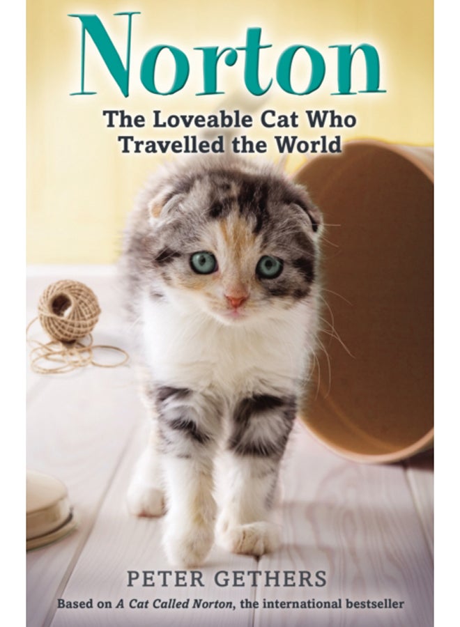 Norton, The Loveable Cat Who Travelled the World 