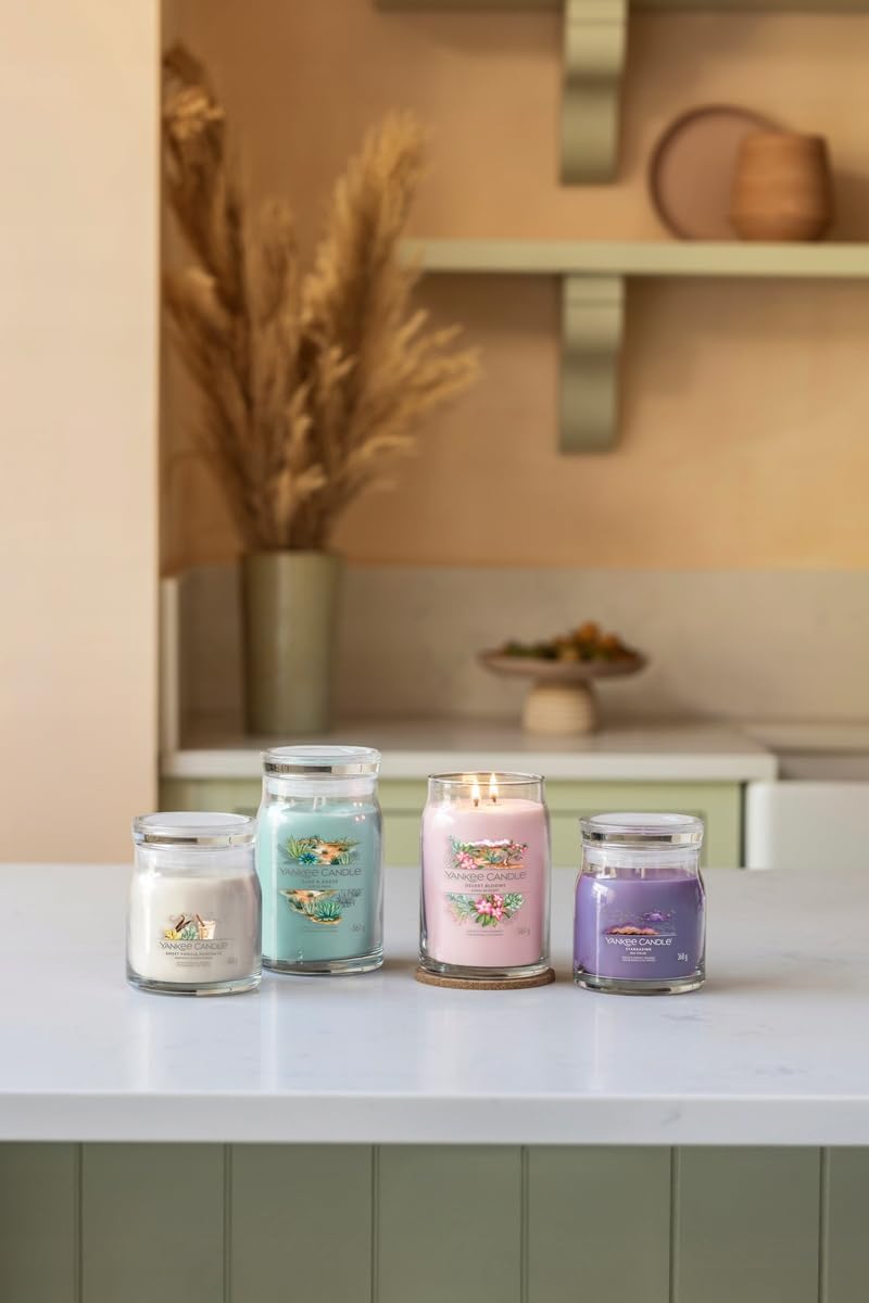 YANKEE CANDLE شمعة يانكي كاندل ألوه و أغاف متوسطة - 368 جرام - Image 4