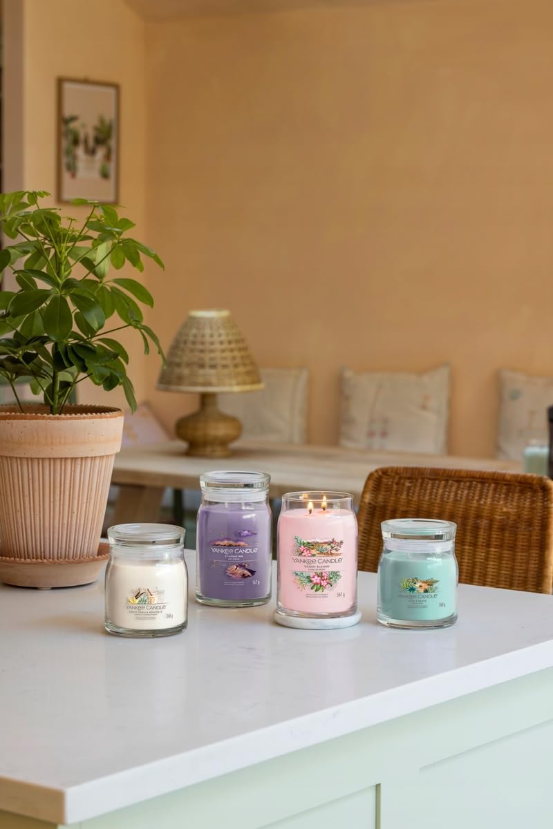 YANKEE CANDLE شمعة يانكي كاندل ألوه و أغاف متوسطة - 368 جرام - Image 5