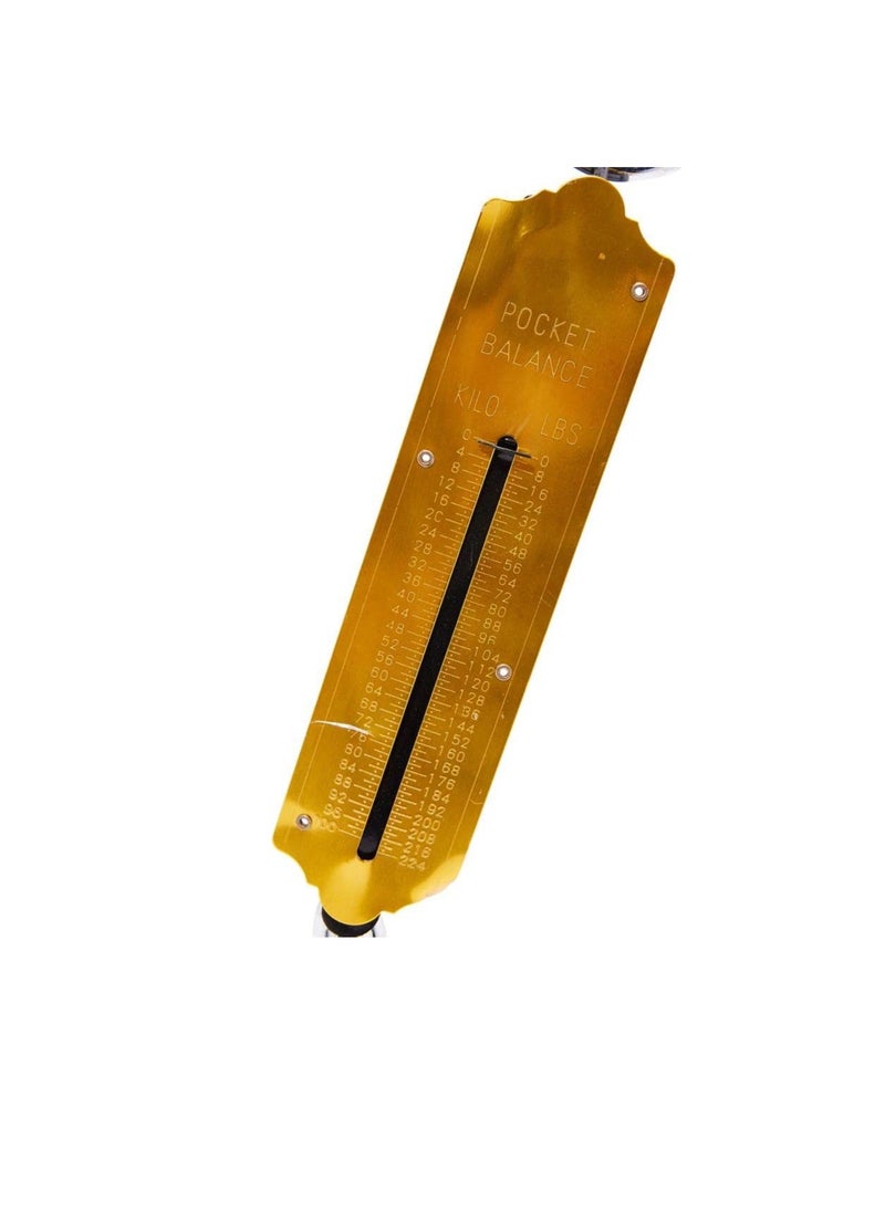 ROYAL STAR - Pocket Balance 100Kg Weight Scale - Image 1