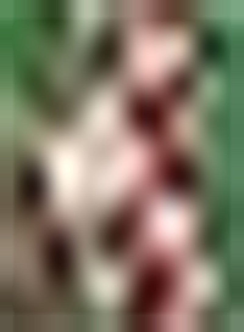 جي جوت 10Stück rosa Gladiolen Zwiebeln frisch riesige blühende Farben Pflanzen Blumen blühende Stauden Schwertzwiebeln Pflanzen Leicht zu pflegen - Image 2