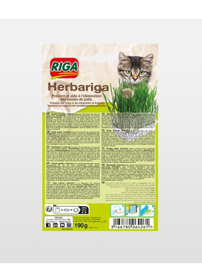 Riga – Herbariga cat grass Feed 190grams Pack For Hairball control and Rich In Fiber - Image 1