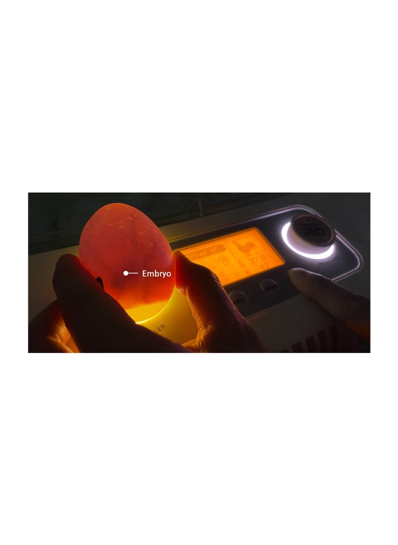 Rcom - Rcom Automatic Egg Incubator for Hatching Eggs with Automatic Temperature Control, Humidity Sensor, Made in Korea - Image 1