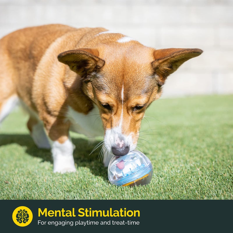 Pet Zone IQ Treat Ball Interactive Dog Ball - 3" Puzzle Treat Dispenser, Durable, Slow Feeder, for All Dog Breeds, Toys to Keep The Busy and Enrichment - Image 2