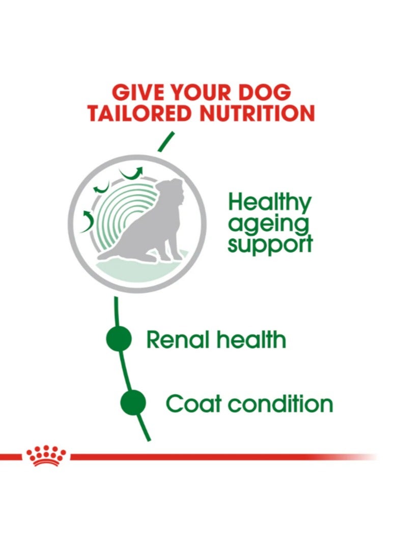 Royal Canin Mini Ageing 12+ Dog Food – 1.5kg | Tailored Nutrition for Senior Small Dogs (12+ Years) - Image 5