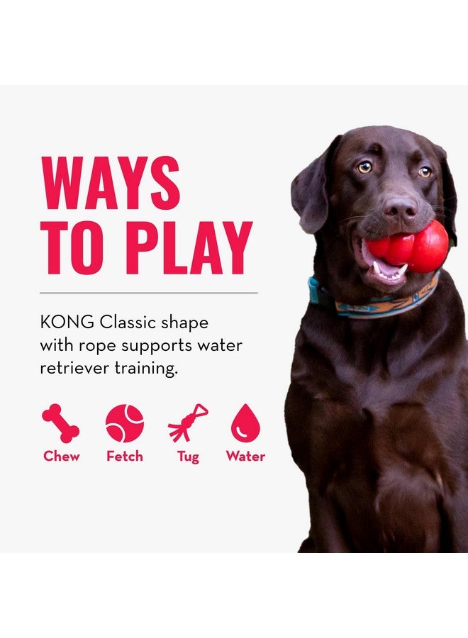 كونج لعبة جلب الماء العائمة من كونغ أكوا - لعبة عائمة للكلاب لاستعادة الماء واللعب والتمرين والمزيد - لعبة للكلاب من المطاط الطبيعي مع بطانة من الإسفنج وحبل لرمي الأشياء لمسافات أبعد - برتقالية، للكلاب الكبيرة - Image 5