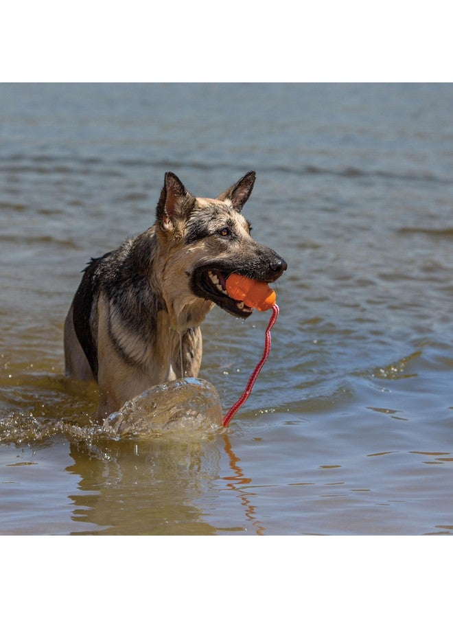 كونج لعبة جلب الماء العائمة من كونغ أكوا - لعبة عائمة للكلاب لاستعادة الماء واللعب والتمرين والمزيد - لعبة للكلاب من المطاط الطبيعي مع بطانة من الإسفنج وحبل لرمي الأشياء لمسافات أبعد - برتقالية، للكلاب الكبيرة - Image 2
