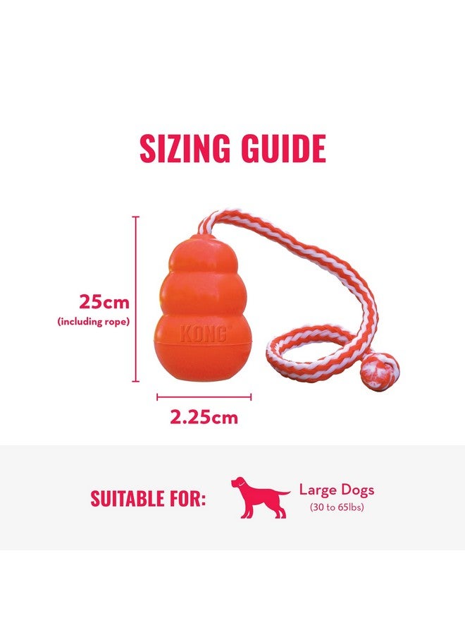 كونج لعبة جلب الماء العائمة من كونغ أكوا - لعبة عائمة للكلاب لاستعادة الماء واللعب والتمرين والمزيد - لعبة للكلاب من المطاط الطبيعي مع بطانة من الإسفنج وحبل لرمي الأشياء لمسافات أبعد - برتقالية، للكلاب الكبيرة - Image 4