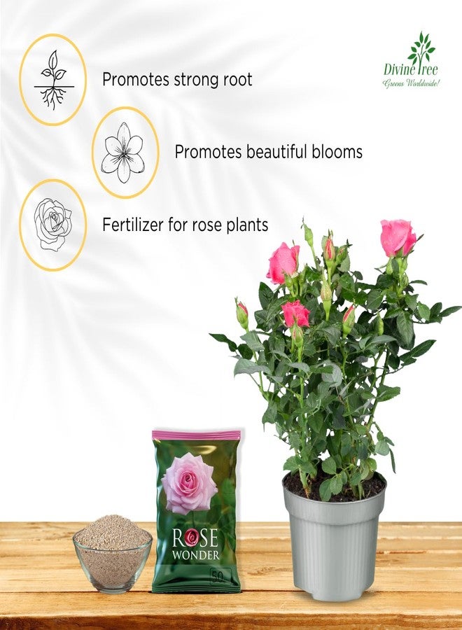 DIVINE TREE ديفاين تري روز وندر | سماد عضوي للنباتات ومحفز للإزهار لنباتات الورد | أزهار أكبر، جذور قوية ونمو صحي (50 جم) - Image 5