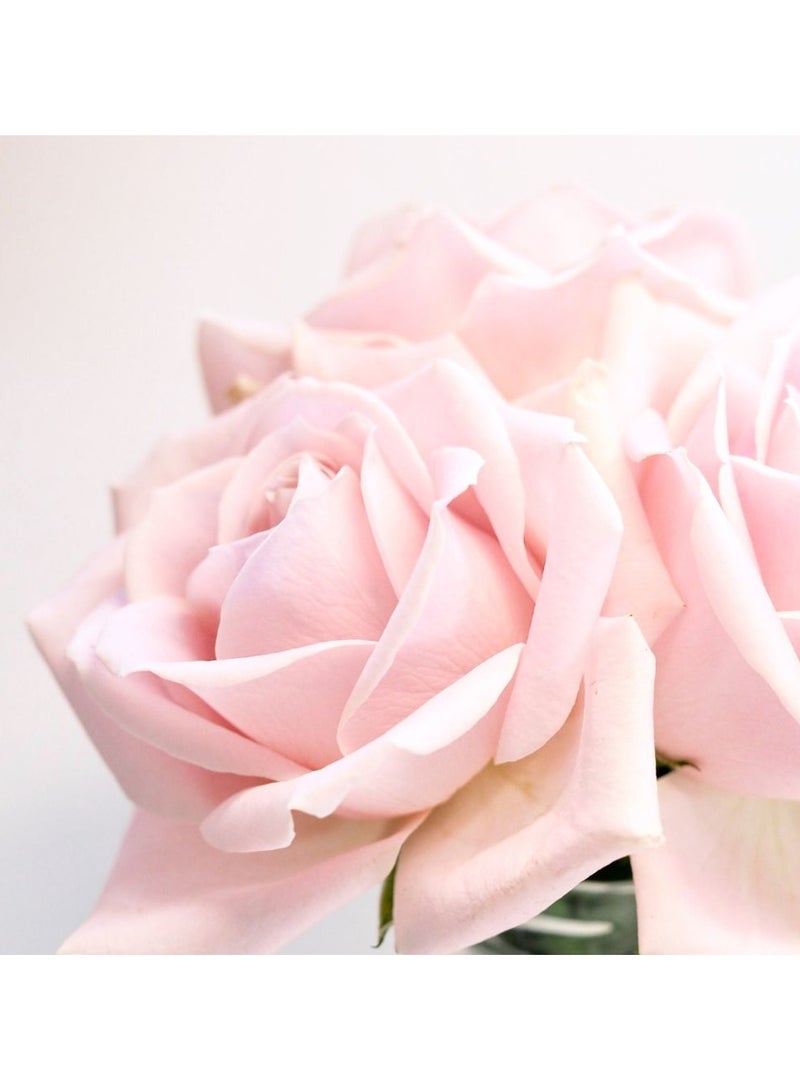 BENAMÕR Benamôr Rose Amélie Miracle Dry Oil 100ml - Image 3