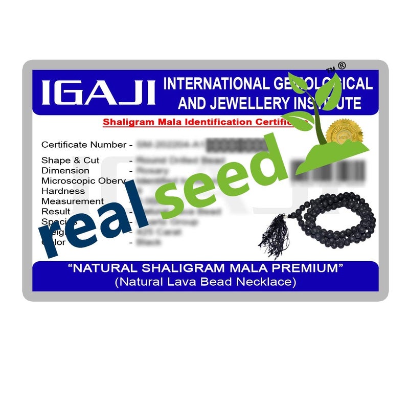 Real Seed Original Shaligram Mala with Lab Certificate, 8MM Sacred Stone Shaligram Black Round Beads Mala from Nepal, Yoga Mala, Earthy Beads (Length - 44 CMS) - Image 3