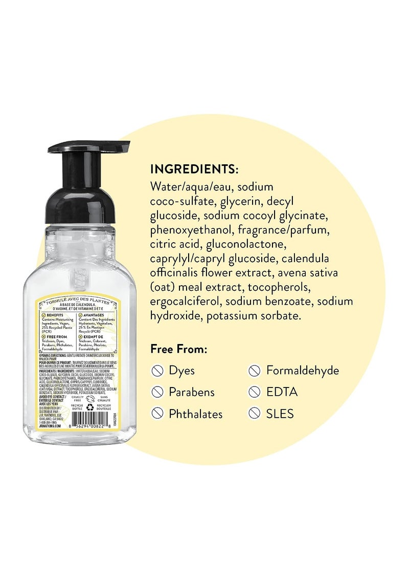 J.R.WATKINS - J.R. Watkins Foaming Hand Soap with Pump Dispenser, Moisturizing Foam Hand Wash, All Natural, Alcohol-Free, Cruelty-Free, USA Made, Lemon, 9 fl oz, 3 Pack - Image 1