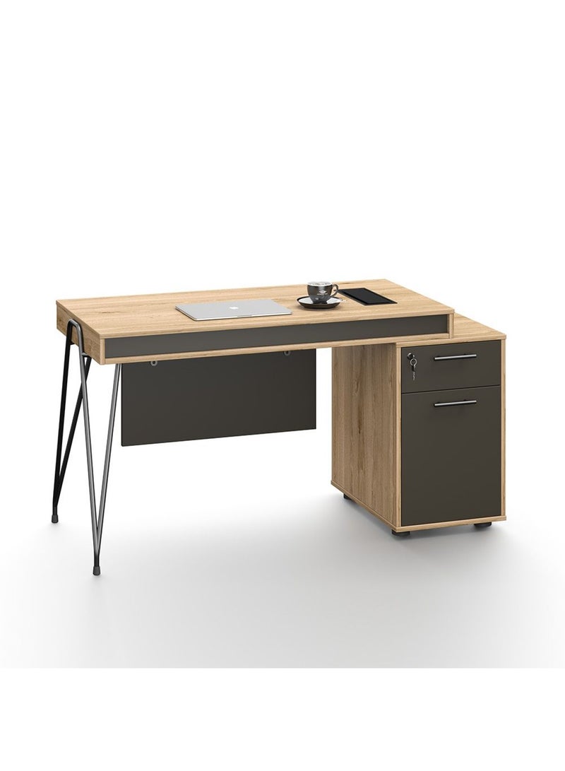 DANUBE HOME Haslev Office Desk- Antique Oak  - Image 3