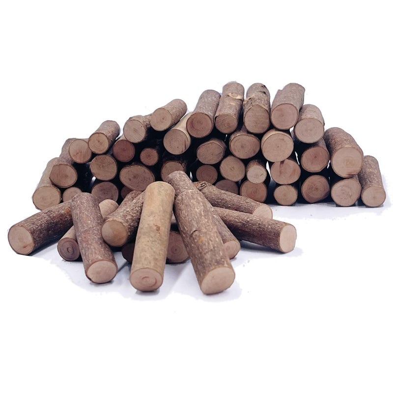 Craft Sticks Wood Sticks Crafting Twigs Crafts Log Toy DIY Vase Fillers Pumpkin Stems Rustic Decorations OrnamentsLoose Parts Play Materials