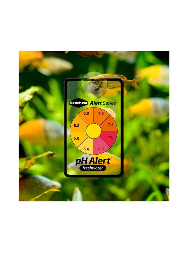 Seachem Alert Combo Water Test - Image 3