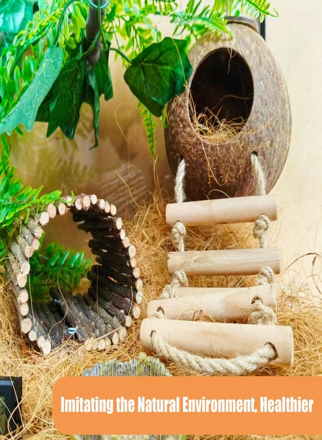 TEICCI 20items Bearded Dragon Tank Accessories Set,20-Piece Kit Leopard Gecko Tank Accessories with Reptile Bridge,Bearded Dragon Hammock,Decor Suitable for Lizards, Geckos, and Chameleons - Image 4