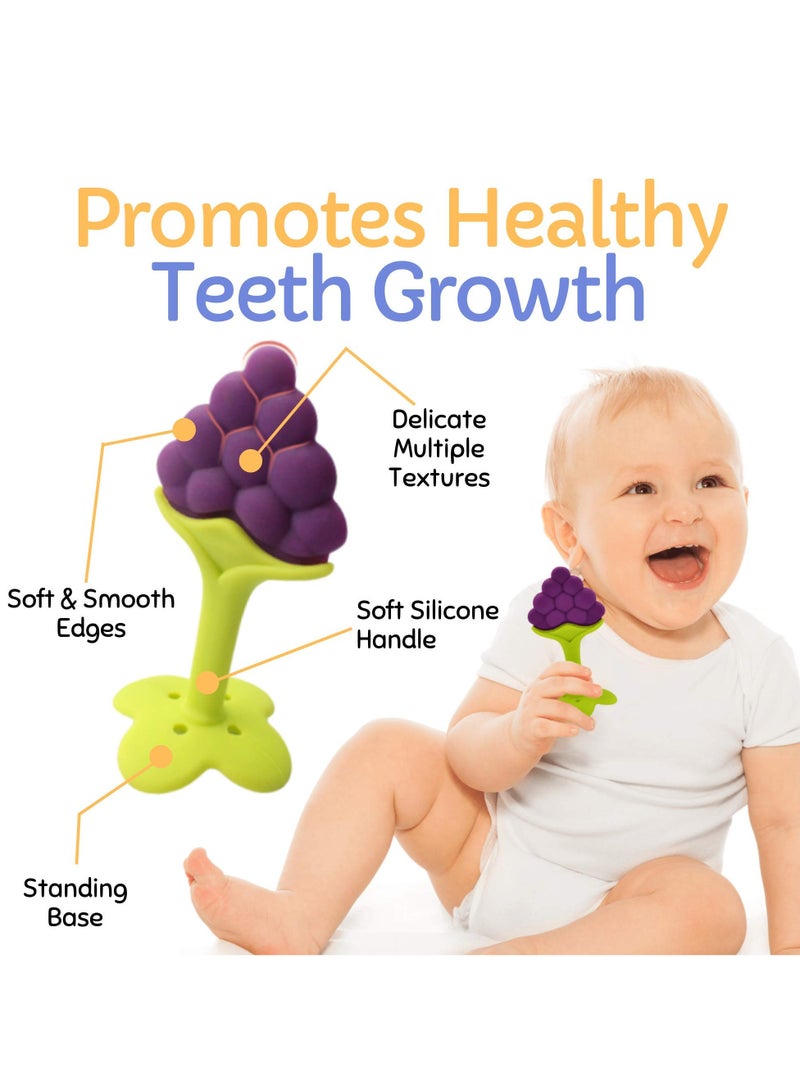 السيد باندا عضاضه رضع العاب تسنين الطفل بحواف ملساء وامنة (6 قطع) | عضاضة فاكهة من السيليكون الناعم الامن غذائيًّا للاطفال | امنة للاستخدام في الثلاجة | مجموعة عضاضة تسنين للاولاد والبنات خالية من البيسفول بنسبة 100% - Image 4