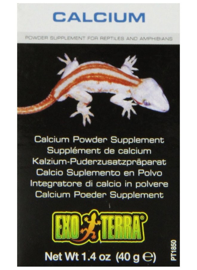 Exo Terra Exo Terra Calcium Powder: Ultra Fine, High Calcium Formula Supports Bone Health, Growth, and Metabolism. Perfect for Insects, Fruits & Veggies 1.4 oz.  - Image 1