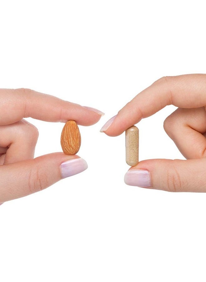 Seeking Health Seeking Health Multivitamin Sensitive - Antioxidant Support Supplement with Coenzyme Q10 - Daily Vitamin with Biotin, Selenium & Vitamin C - Multivitamin Free of Folate - 120 Capsules  - Image 3