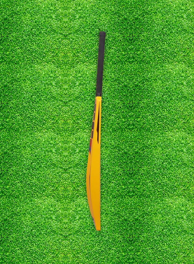 SS مضرب بلاستيك مقاس 1 - Image 3