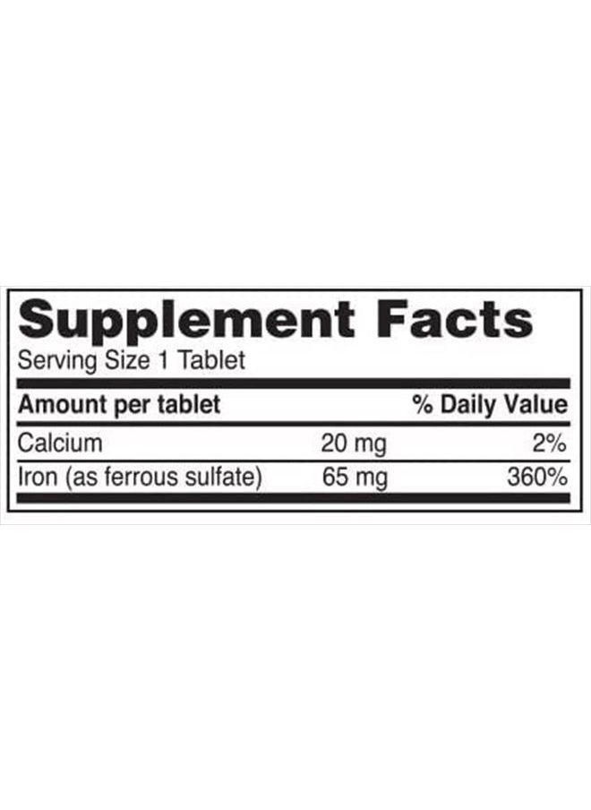Reliable-1 Laboratories - Iron Supplement Ferrous Sulfate 325mg by Reliable 1 | Iron Pills for Women and Men | Iron Supplements for Anemia and Iron Deficiency | 100 Iron Tablets per Bottle - Image 1