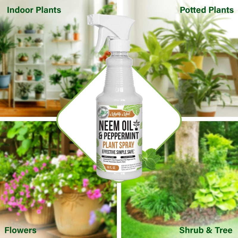 Mighty Mint Neem Oil & Peppermint Plant Nutrient Spray â€“ Natural Leaf Shine for Indoor & Outdoor Use â€“ Plant-Based Formula for Stronger, Healthy Plants - 16 oz - Image 3