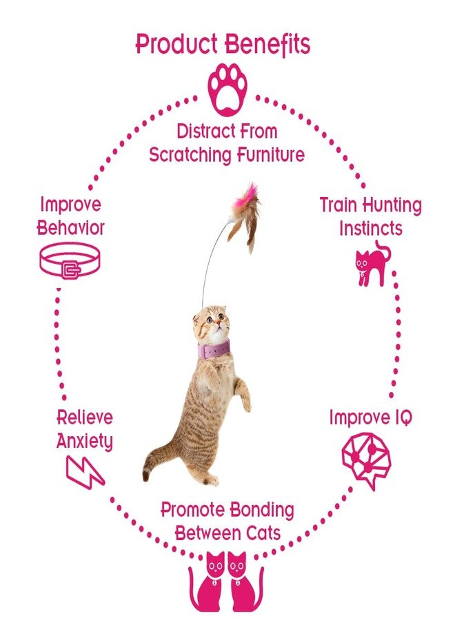 Abnaok Cat Feather Collar Toys, Interactive Cat Toys for Indoor Cats Teasing Wand Collar Funny Cat Toy with Bell and Replaceable 3 Feathers Refills Multiple Ways for Cats to Play - Image 5