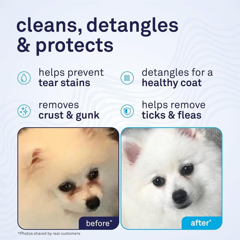 Petpost Tear Stain Remover Comb for Dogs | Extra Fine Stainless Steel Dog Eye Comb | Gentle Grooming Tool for Shih Tzu, Maltese & Small Breeds | Dog Face Comb for Eye Cleaning - Image 2