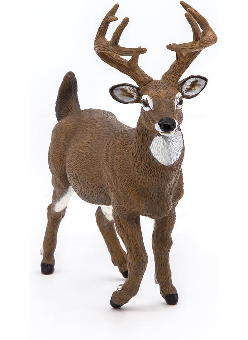 Papo Papo  WhiteTailed Deer  Realistic Figurine  for Ages 3  Wild Animal Kingdom Collection  Hand Painted  Highly Detailed  Durable and Educational  Gift Idea  Collectable  WhiteTailed Deer  - Image 5