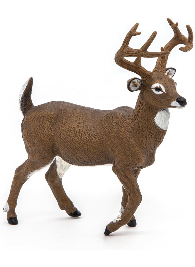 Papo Papo  WhiteTailed Deer  Realistic Figurine  for Ages 3  Wild Animal Kingdom Collection  Hand Painted  Highly Detailed  Durable and Educational  Gift Idea  Collectable  WhiteTailed Deer  - Image 4