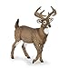 Papo WhiteTailed Deer Figure Realistic Forest Animal Toy for Kids Age 3 Hand Painted Wildlife Model with Antlers 104 x 4 x 109 cm Durable Plastic Figure Wildlife Collection 53021 - Image 2