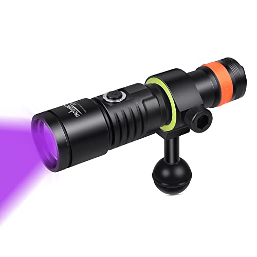 ORCATORCH D530V 395nm Fluorescent Dive Light for Scuba, 2 Modes, 120° Wide Beam Blacklight for Underwater Photography, Coral Detection & Resin Curing - Image 1