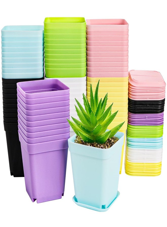 هيدوم مجموعة هيدوم من 70 وعاءً بلاستيكيًا ملونًا للنباتات، وعاء صغير مربع الشكل لزراعة شتلات الزهور مع قاعدة، يحتوي على نباتات زهور داخلية - Image 2