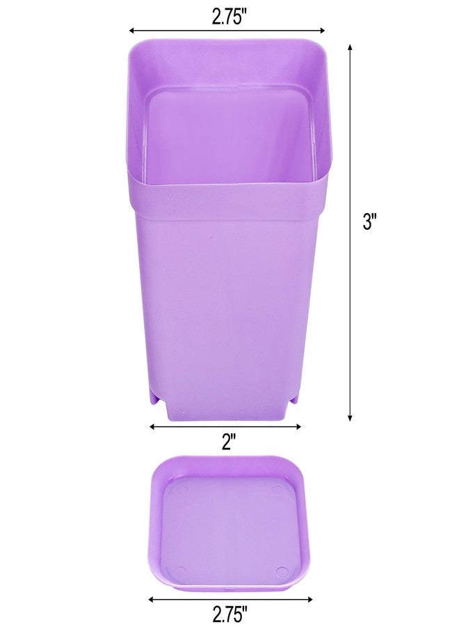 هيدوم مجموعة هيدوم من 70 وعاءً بلاستيكيًا ملونًا للنباتات، وعاء صغير مربع الشكل لزراعة شتلات الزهور مع قاعدة، يحتوي على نباتات زهور داخلية - Image 5