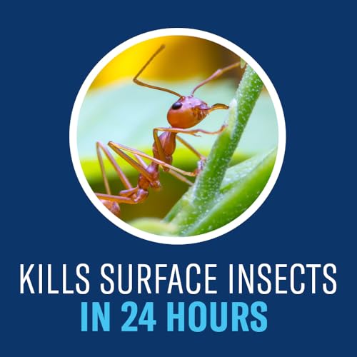 BioAdvanced Complete Brand Insect Killer for Soil and Turf, Concentrate, 40 oz, Outdoor Ant Killer - Image 4