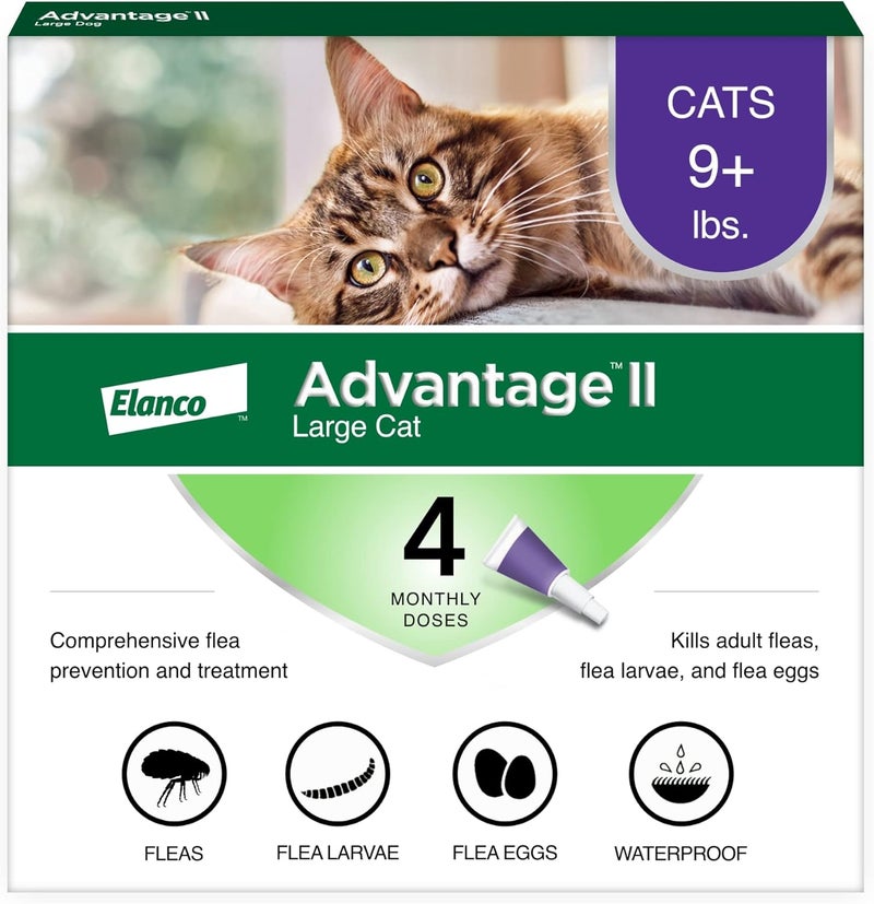 Advantage II Large Cat Vet-Recommended Flea Treatment & Prevention | Cats Over 9 lbs. | 4-Month Supply - Image 1
